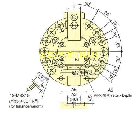 MÂM CẶP KITAGAWA MLV - CHUCK